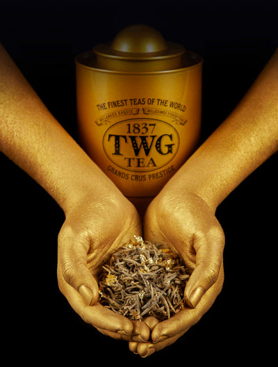 Picking the Perfect Green Tea for your Palate