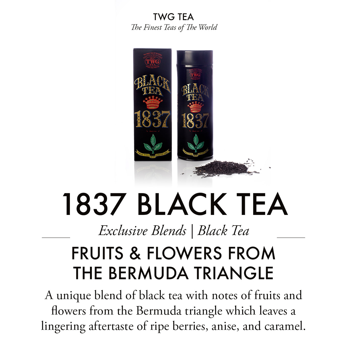 1837 Black Tea (100 Grams)