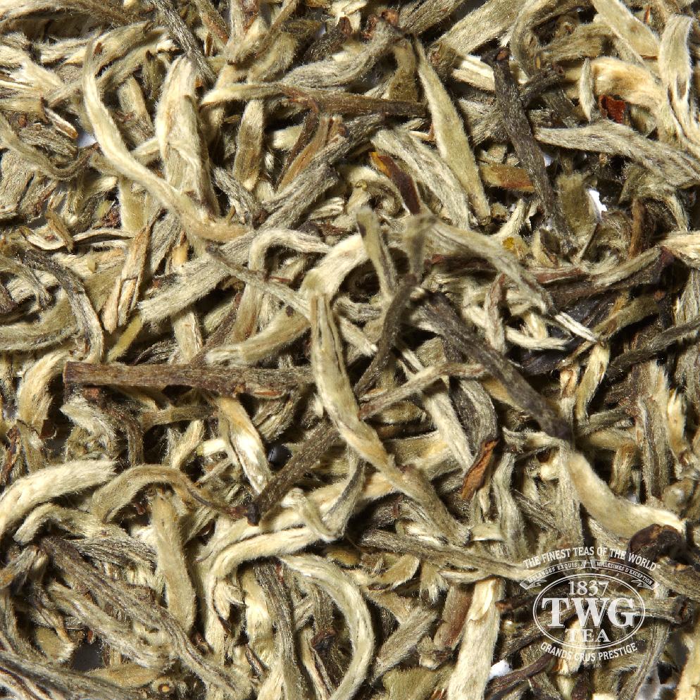 White Darjeeling