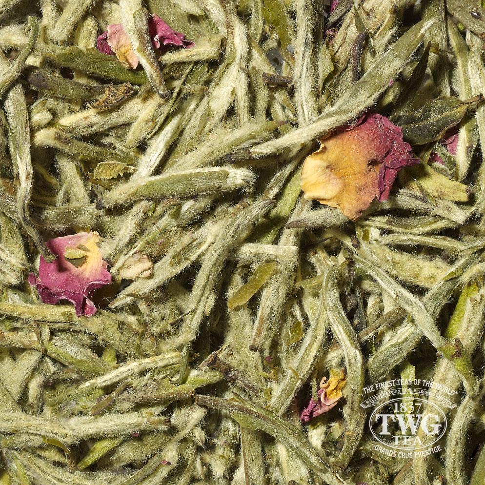 White Spring Tea