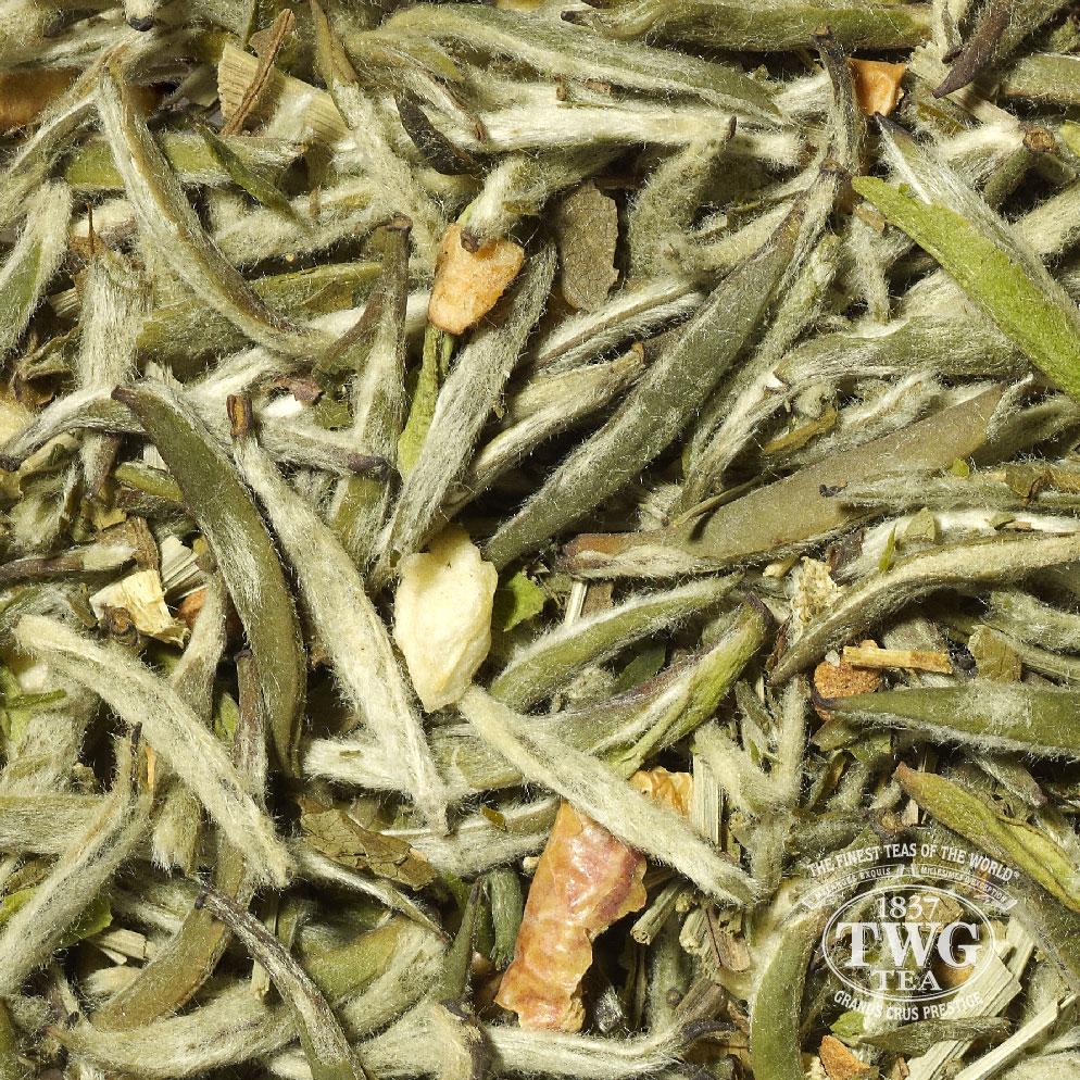 White Gold Tea